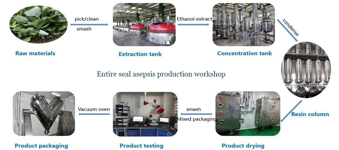 Product process of plant extarct powder by Botanical Cube Inc.