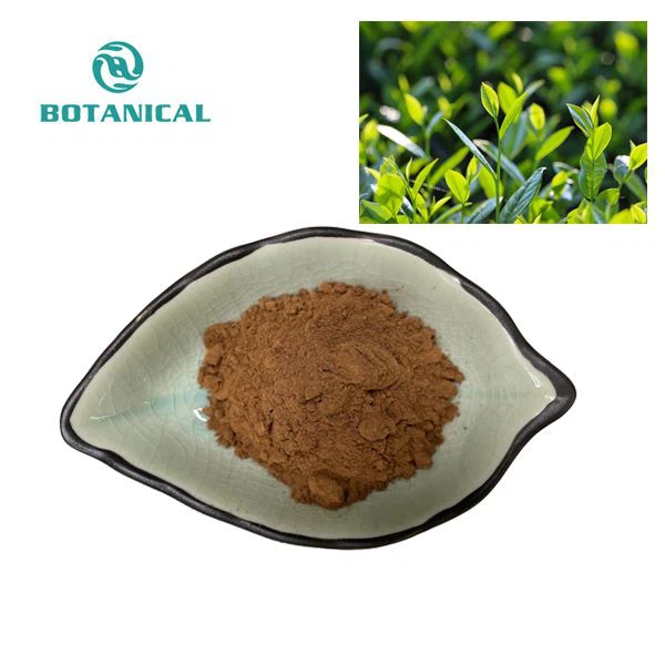 EGCG Extract Powder
