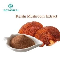 Estratto di funghi Reishi