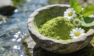 Quali sono i benefici ambientali della polvere di matcha biologica?