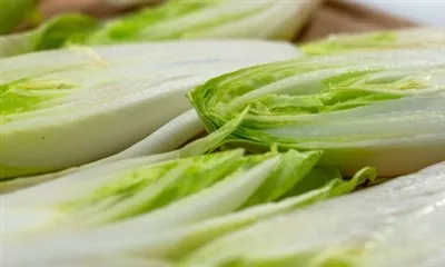 Cosa fa l'inulina in polvere?