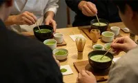 Polvere di matcha di cui ti puoi fidare